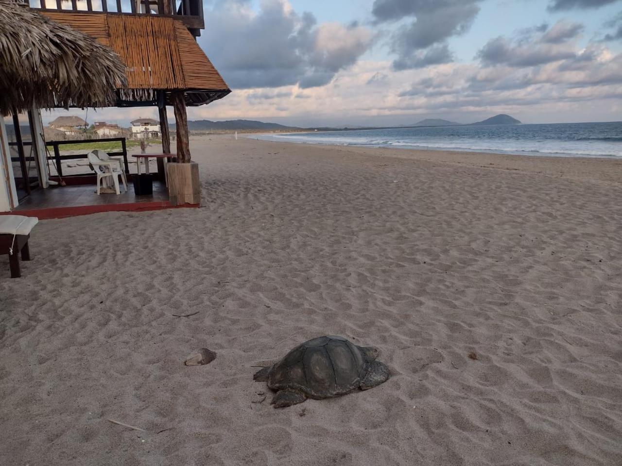 Cabanas Alta Mar Guayabas ภายนอก รูปภาพ